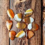 Lot de pierres – cornaline n°02 X 10